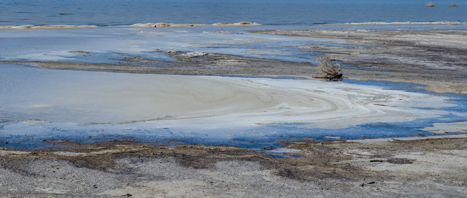 Marilyn Marron - Tides of Decay; Salton Sea, CA; 2022