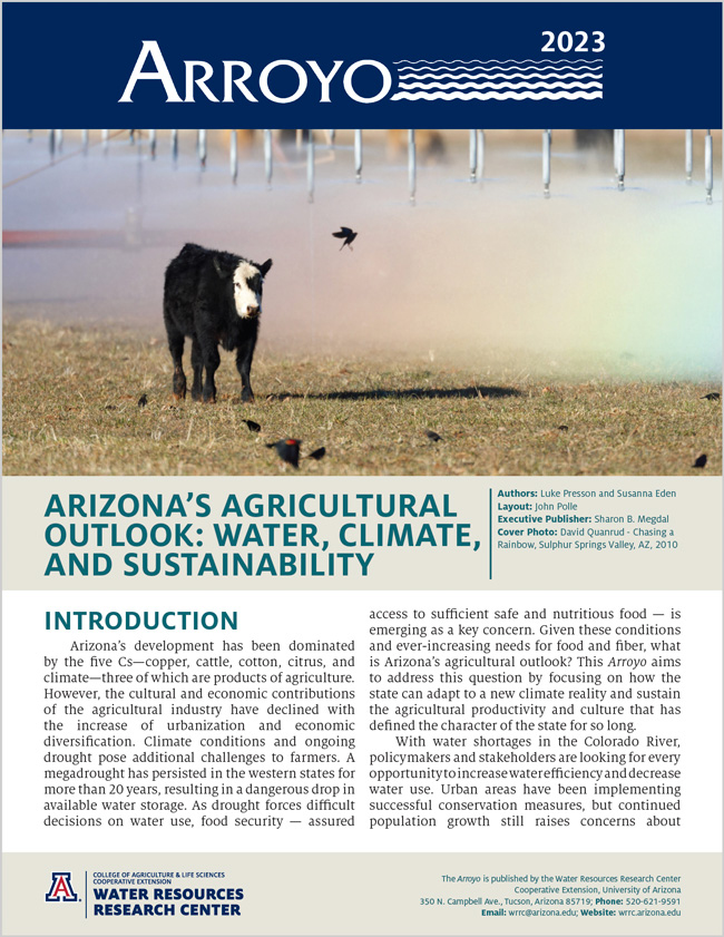 arroyo 2023 cover image featuring a cow and some birds and a rainbow