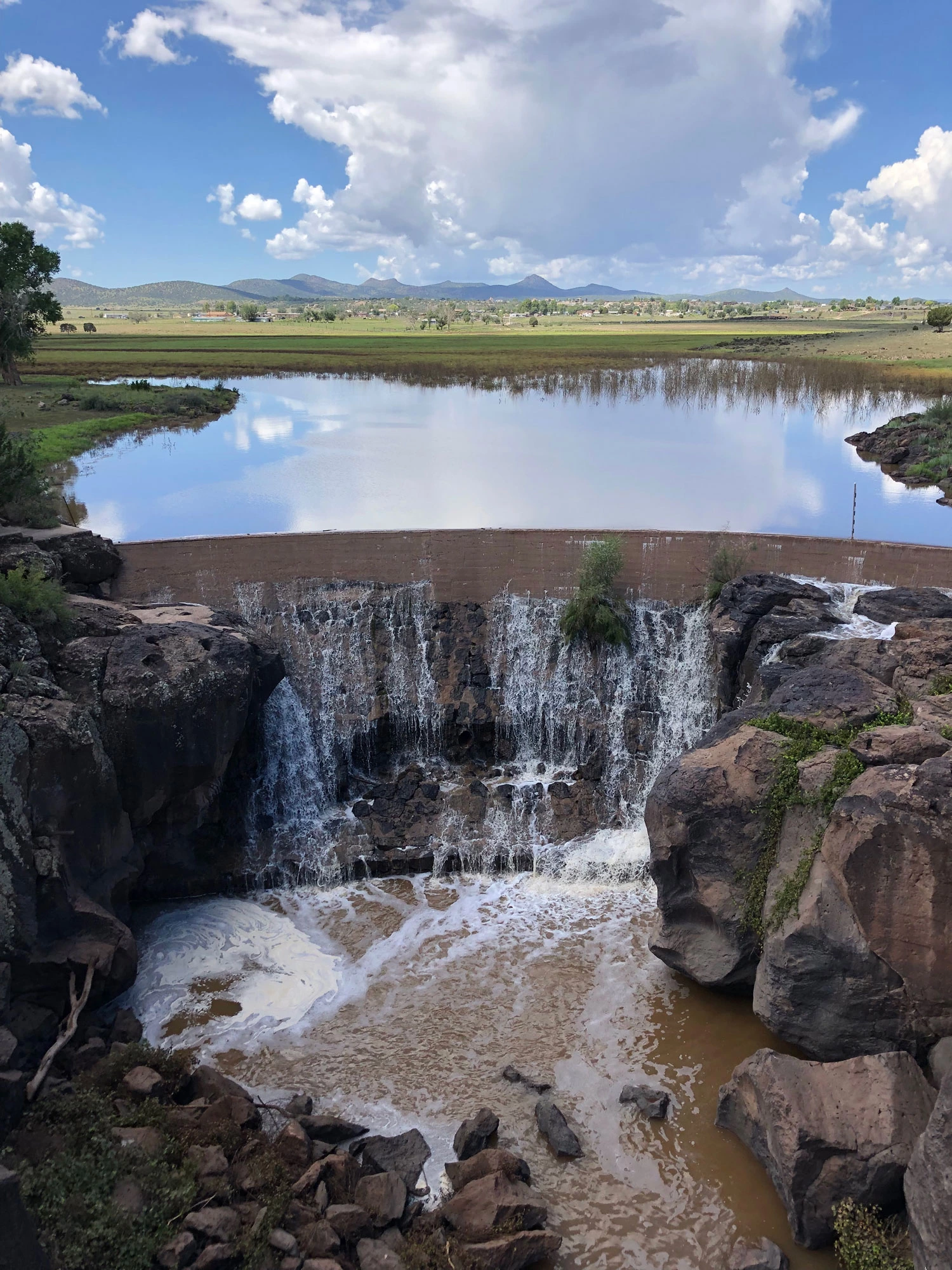 Emma Harries – Seep Through the Cracks, Sullivan Lake near Paulden, AZ, 2022