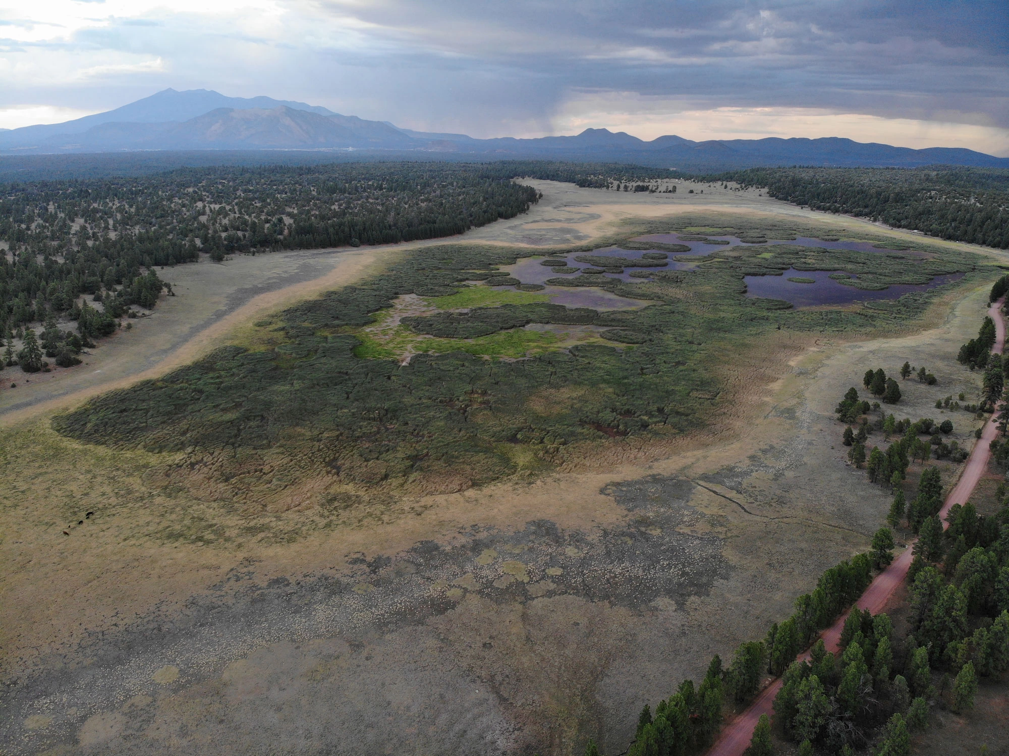 Chad Kwiatkowski – Marshall Lake Monsoon, Marshall Lake, Southeast of Flagstaff AZ, 2020