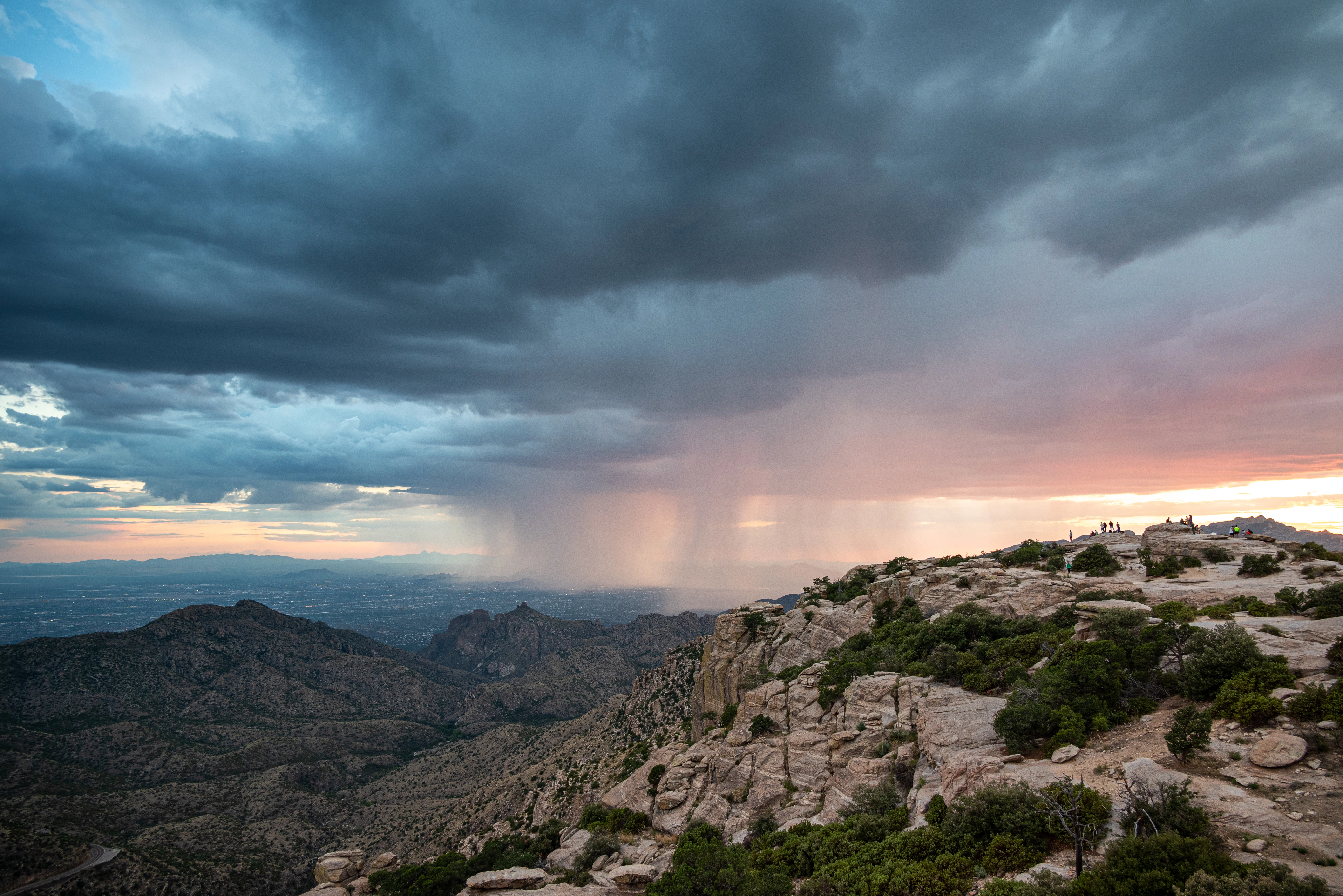 Ben Yang - Pink Rain, 2023 Mountain Lemmon, AZ