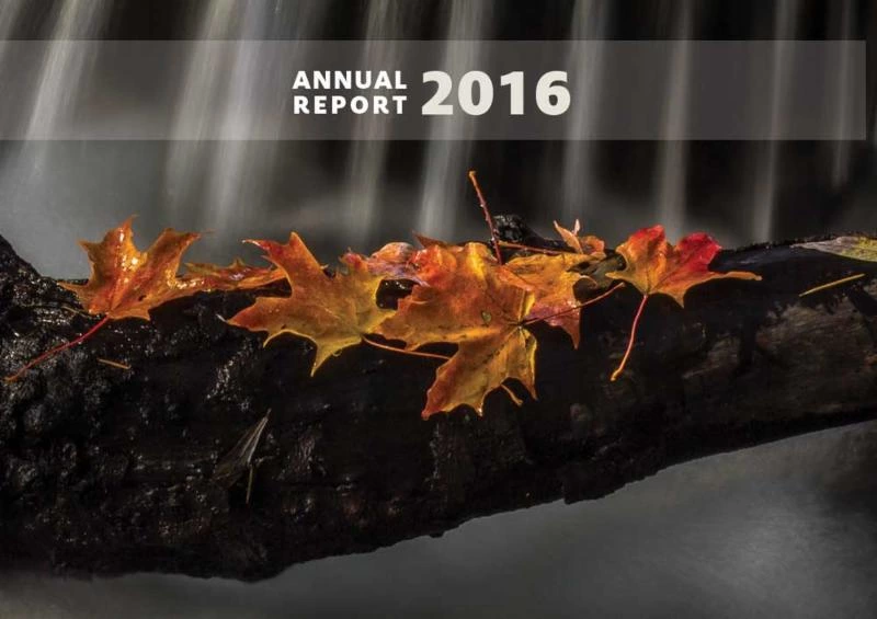 2016 Annual Report 