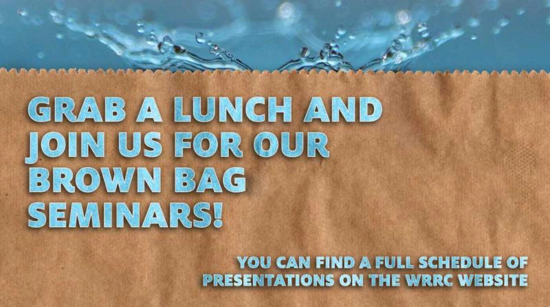 Brown Bag Seminar Promo