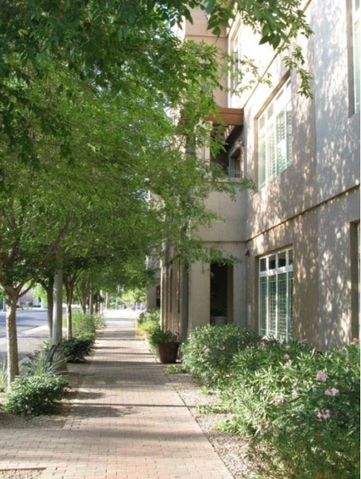 City of Phoenix Code Review to Promote Green Infrastructure: Case Study