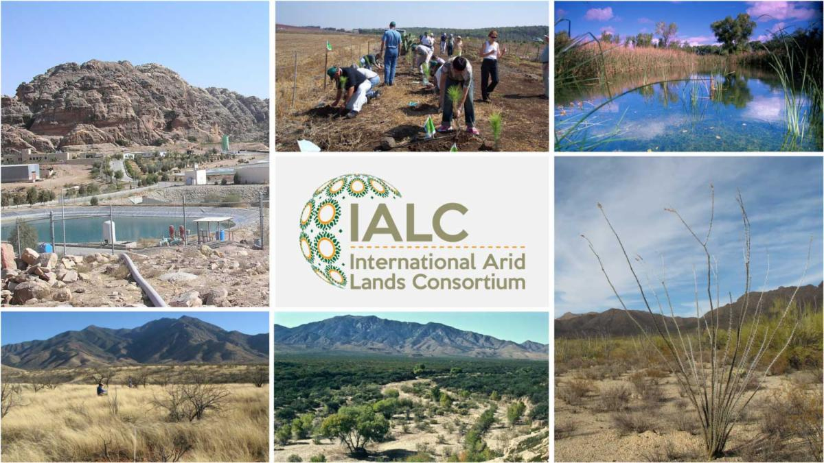 International Arid Lands Consortium Banner