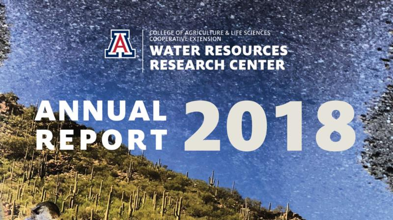 annual report banner with date and logo
