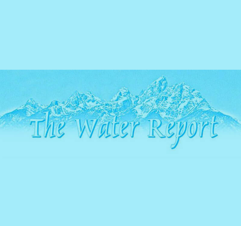 The Water Report Cover