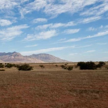 sonora/arizona border