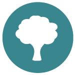 gila icon tree