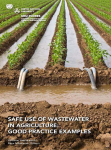 cover of Safe Use of Wastewater in Agriculture: Good Practice Example