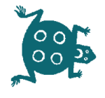 frog graphic