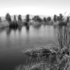 2005 conference photo - wetlands