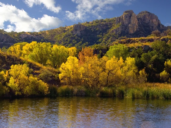striking fall colors trees