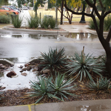 photo showing rain and a curb cut